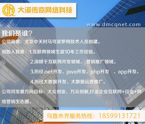 阿克蘇與烏魯木齊軟件開發(fā)及運行維護服務(wù) 技術(shù)賦能新疆數(shù)字化發(fā)展