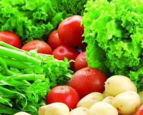 蔬菜分為哪七大類